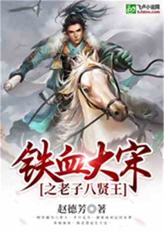 (大宋之铁血亲王 小说)大宋之铁血至尊：铸造英雄传奇，激扬南北风云的恢弘史诗